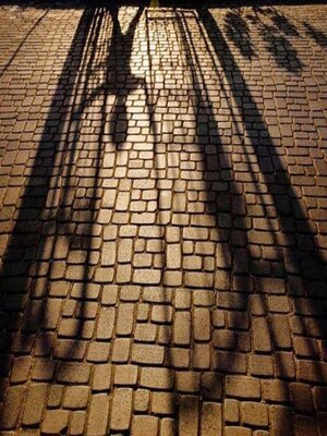 cover image of Shackles of Memory